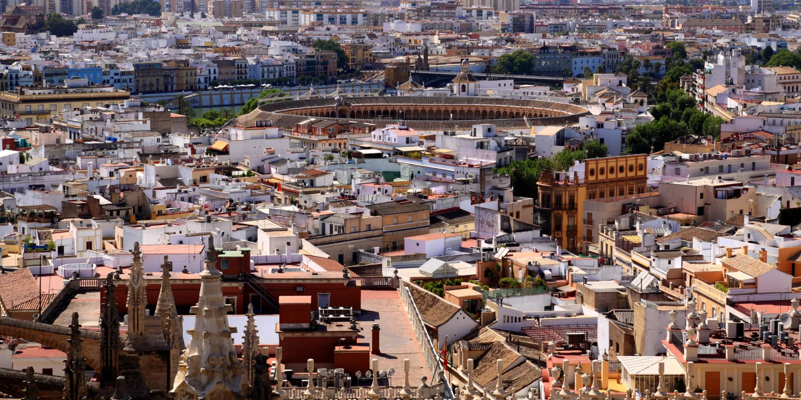 Doñana From Seville Without Booking a Tour