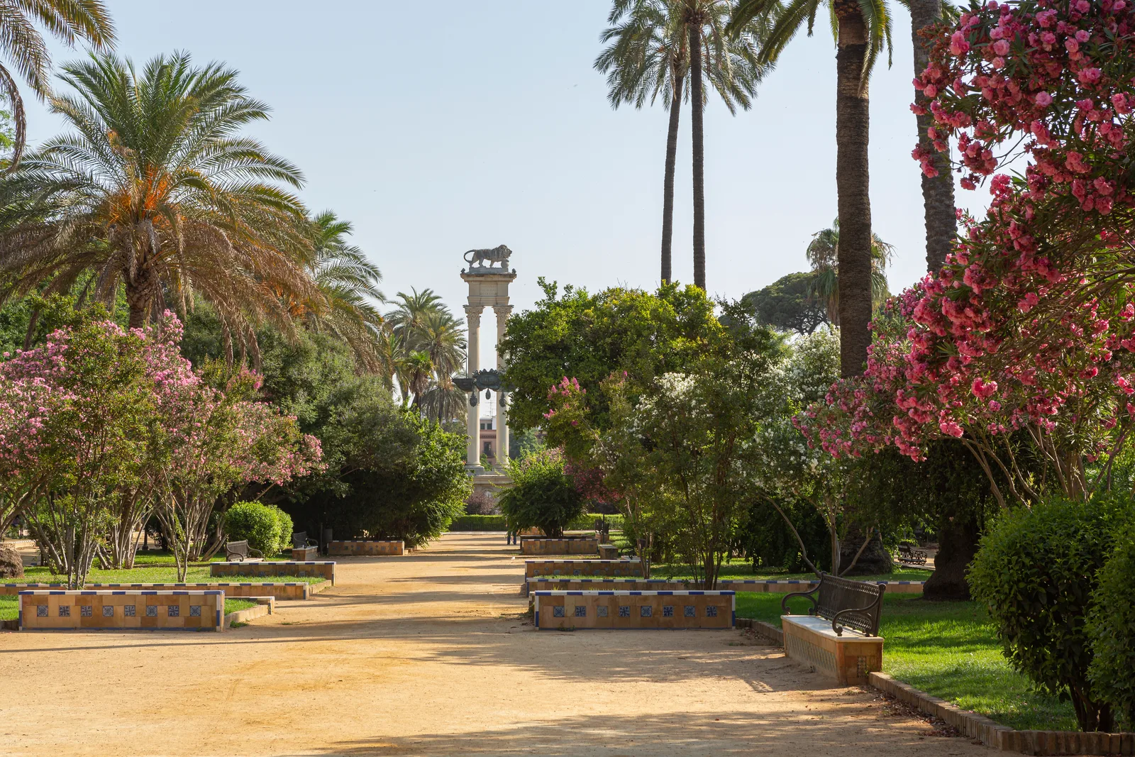 Paseo de albero entre adelfas en flor y palmeras con un monumento al fondo