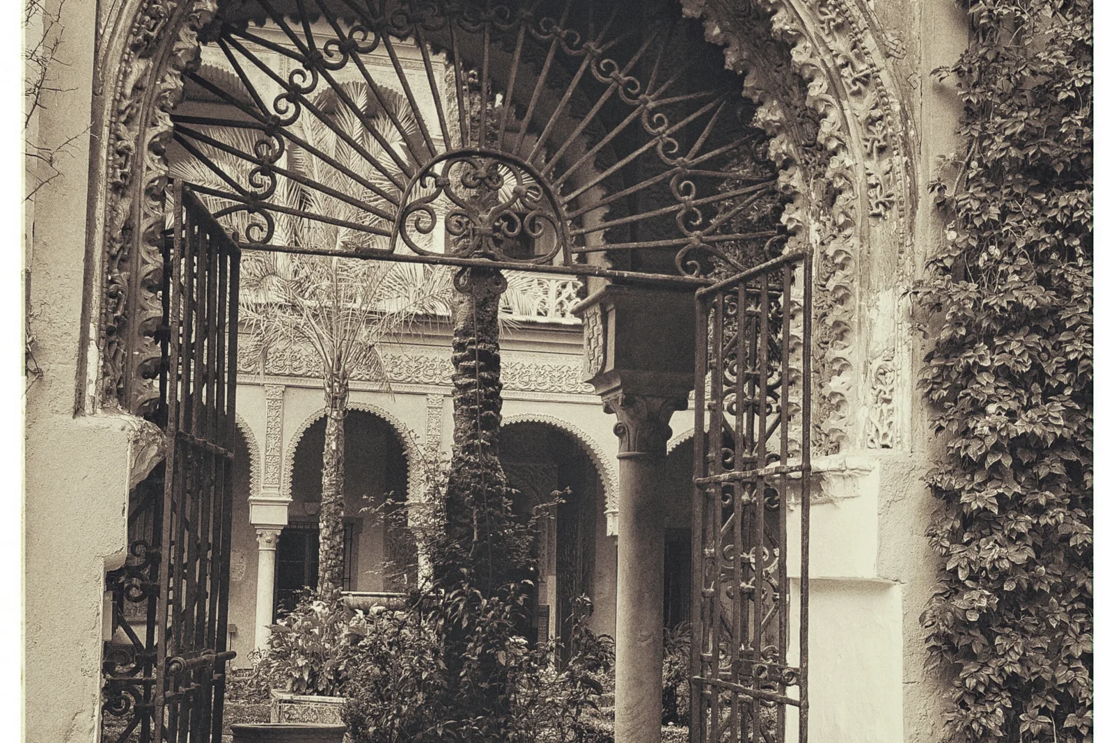 Portada con arco de azulejos y verja de hierro que deja ver un patio con plantas